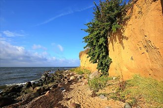 Beach of Klein Zicker dreamlike landscape on the Baltic Sea island of Ruegen. Moenchgut, Mecklenburg-Western Pomerania