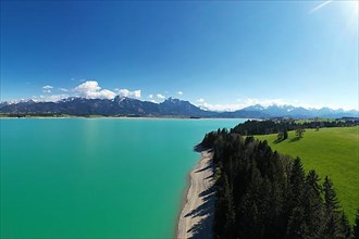 Lake Forggensee in the Koenigswinkel with the Alps in the background. Fuessen, Ostallgaeu