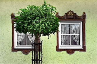 Green house wall and window with curtains and painted frames, Hindelang