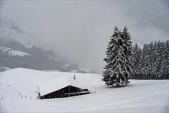 snowfall, mountain hut in the snow