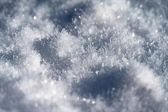Snow crystal, close-up snow