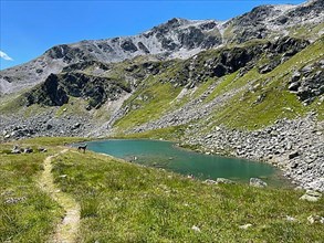 Small mountain lake on the edge of scree with hiking trail, Stavel da Radoent