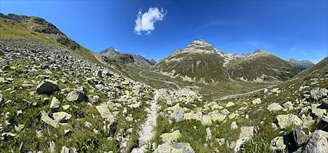 Ascent from the Flueela Pass to Munt da Marti, view of Flueela Wisshorn