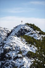Summit cross of the Weitalpspitz in winter with snow, Ammergau Alps