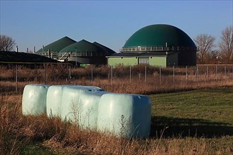 Biogas plant, production of biogas through fermentation of biomass