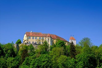 Neuburg Castle above the Inn River, from Wernstein