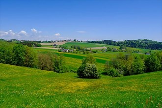 Haibach ob der Donau, Hausruckviertel