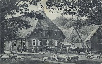 Lower Saxony farm with pigs in the Lueneburg Heath, Lower Saxony