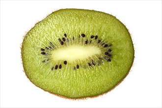 Kiwi slice, golden kiwifruit