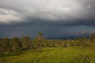 Riisitunturi with thunderstorm atmosphere, Riisitunturi National Park