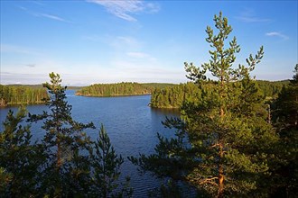 Lake of the Saimaa lake system near Savonlinna, formed by glacial masses during the Weichsel ice age