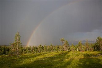 Riisitunturi with thunderstorm atmosphere and rainbow, Riisitunturi National Park