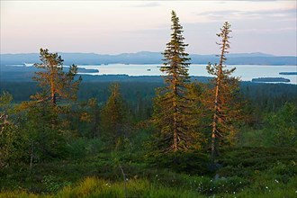 Riisitunturi with a view of Kitkajaervi, Riisitunturi National Park