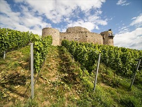 Taggenbrunn Winery and Taggenbrunn Castle, near St. Veit