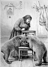 Farmer woman feeding two young bears she raised as orphans Norway, Historic