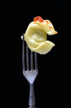 A tortelloni with tomato sauce on a fork, pasta