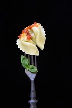 A tortelloni with tomato sauce on a fork, pasta
