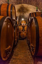 Wine barrels in the Cantucci winery cellar, Montepulciano