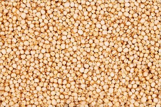 Top view of puffed Quinoa grains,
