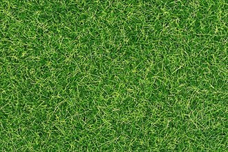 Top view of synthetic turf grass,