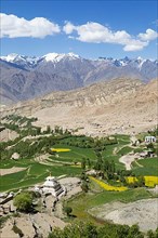 View of the Indus Valley in the Himalayas near Likir, Ladakh