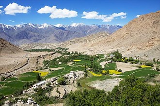 View of the Indus Valley in the Himalayas near Likir, Ladakh