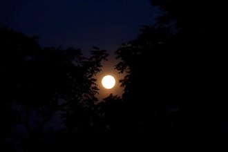 Full moon, summer night