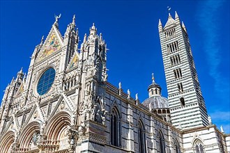 Siena Cathedral with its colourful Gothic marble facade, Siena