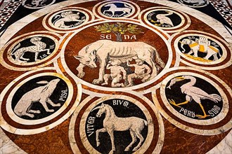Cathedral floor with coloured inlays, Siena