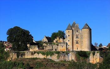 Chateau de Salignac, Salignac Castle