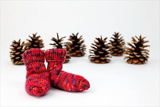 Red socks and pine cones or pine cones cropped against a white background with focus gradient,