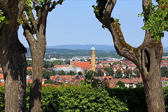 View between the trees of St. Otto in Bamberg in bright sunshine. Bamberg, Upper Franconia