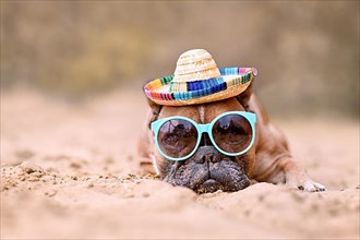 French Bulldog dog wearing sunglasses and straw hat at sand beach,