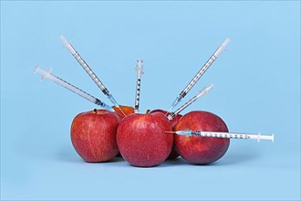 Multiple apple fruits being injected with syringes. Concept for genetically modified organism,