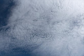 Altocumulus clouds,
