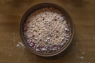 Freshly baked redcurrant cake in a baking tin, Bavaria