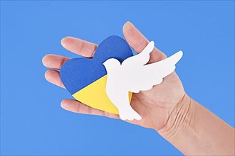 Hand holding dove of peace and heart with Ukraine flag colors blue and yellow,