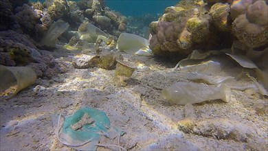 Seabed of beautiful coral reef covered with plastic and other garbage, Red sea