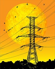 Electric power line with birds and sunrise, vector illustration