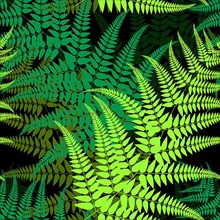 Seamless fern leaves pattern, vector background