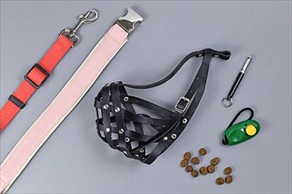 Dog training concept with tools like clicker, dog whistle