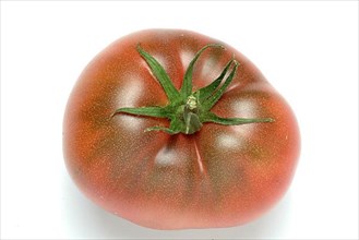 Ripe tomatoes of the Cherokee Tiger variety, red with green stripes