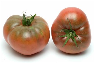 Ripe tomatoes of the Cherokee Tiger variety, red with green stripes