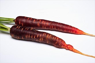 Carrot,