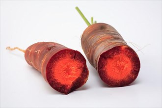 Carrot,