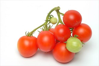 Ripe tomatoes, cocktail tomatoes