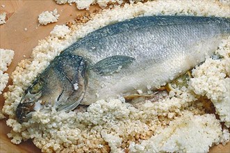 Preparation, edible fish gilt-head sea bream