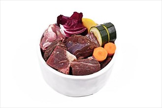 Dog bowl with species appropriated raw food like chunks of raw meat, chicken stomach and vegetables like carrots