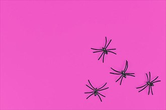 Plastic spiders in corner of bright pink Halloween background with empty copy space,