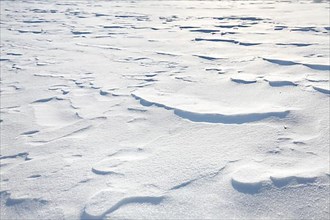 Snow drifts caused by wind from powder snow look like dunes and form bizarre patterns and structures,